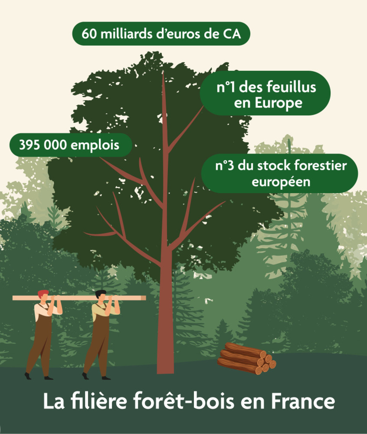 La Filière Bois Cumule Enjeux écologiques Et économiques La Gazette Oise