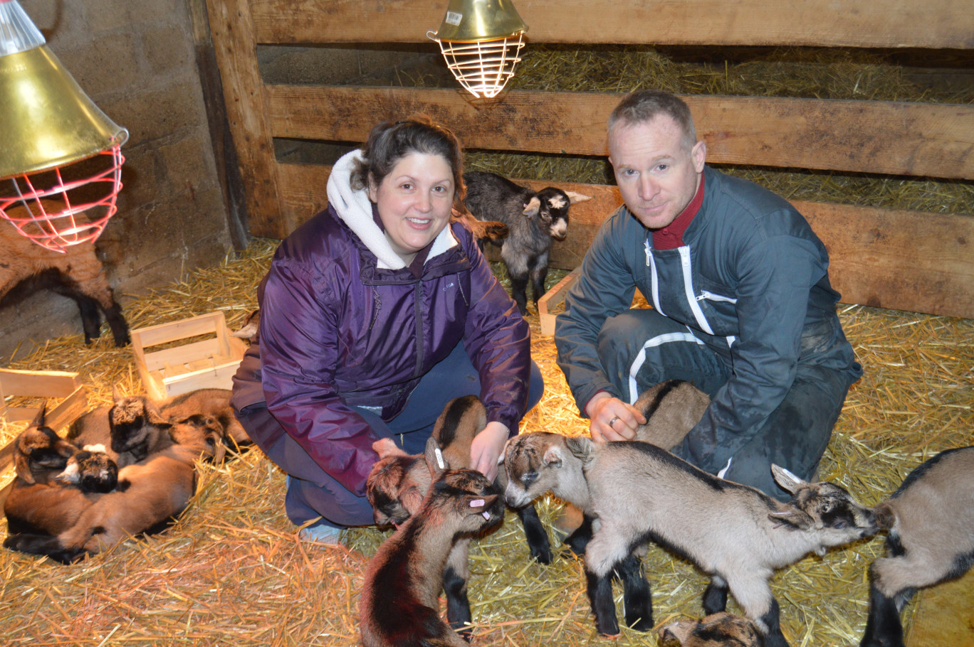 Les chevreaux et les chevrettes viennent de naître chez BarB'iquette, entourés de Véronique et Sébastien Barbier.