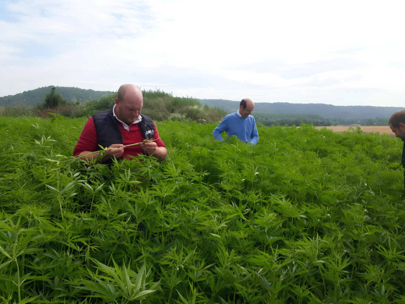 Les agriculteurs de l'Oise qui entendent créer une filière chanvre ont réalisé des visites en Nouvelle Aquitaine. (c) Marie Gillet