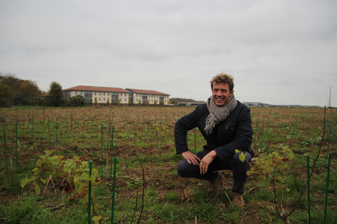 Grégoire Forzy, responsable des fermes d’UniLaSalle, au milieu des jeunes pieds de vigne en cours de tuteurage. (© Aletheia Press / B.Delabre)