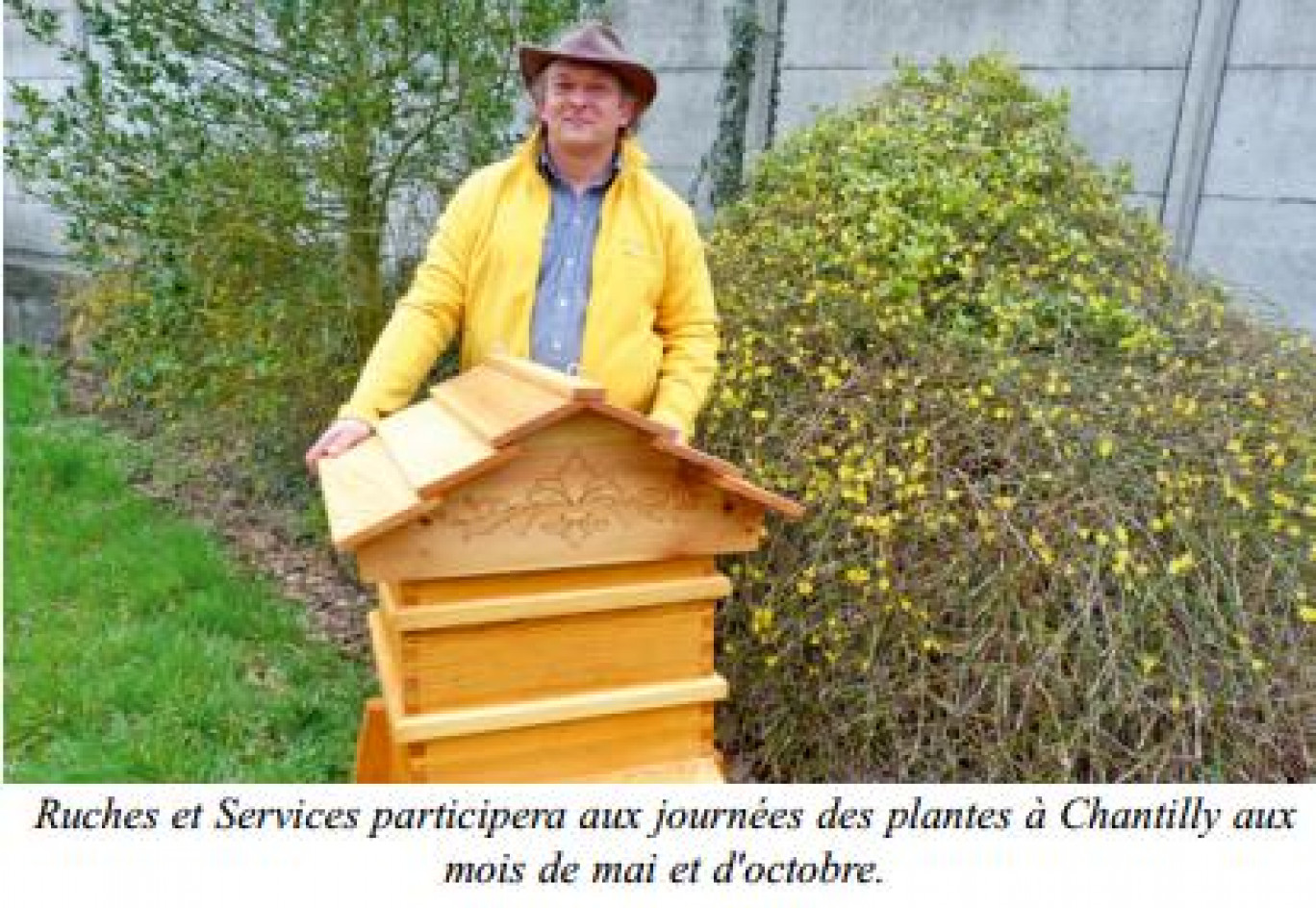 Les entreprises misent sur les abeilles