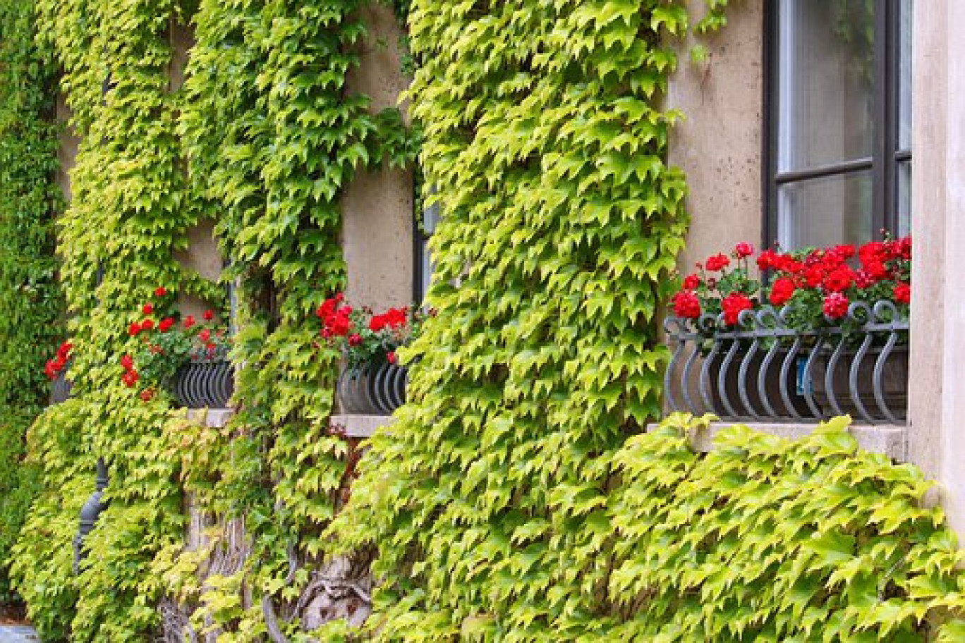 Compiègne finalement consacrée pour ses efforts en jardinage