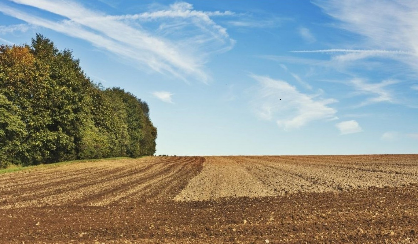 Cette action consiste à chercher l’espace le plus approprié pour planter 65 hectares d’arbres dans un rayon de 10 km.